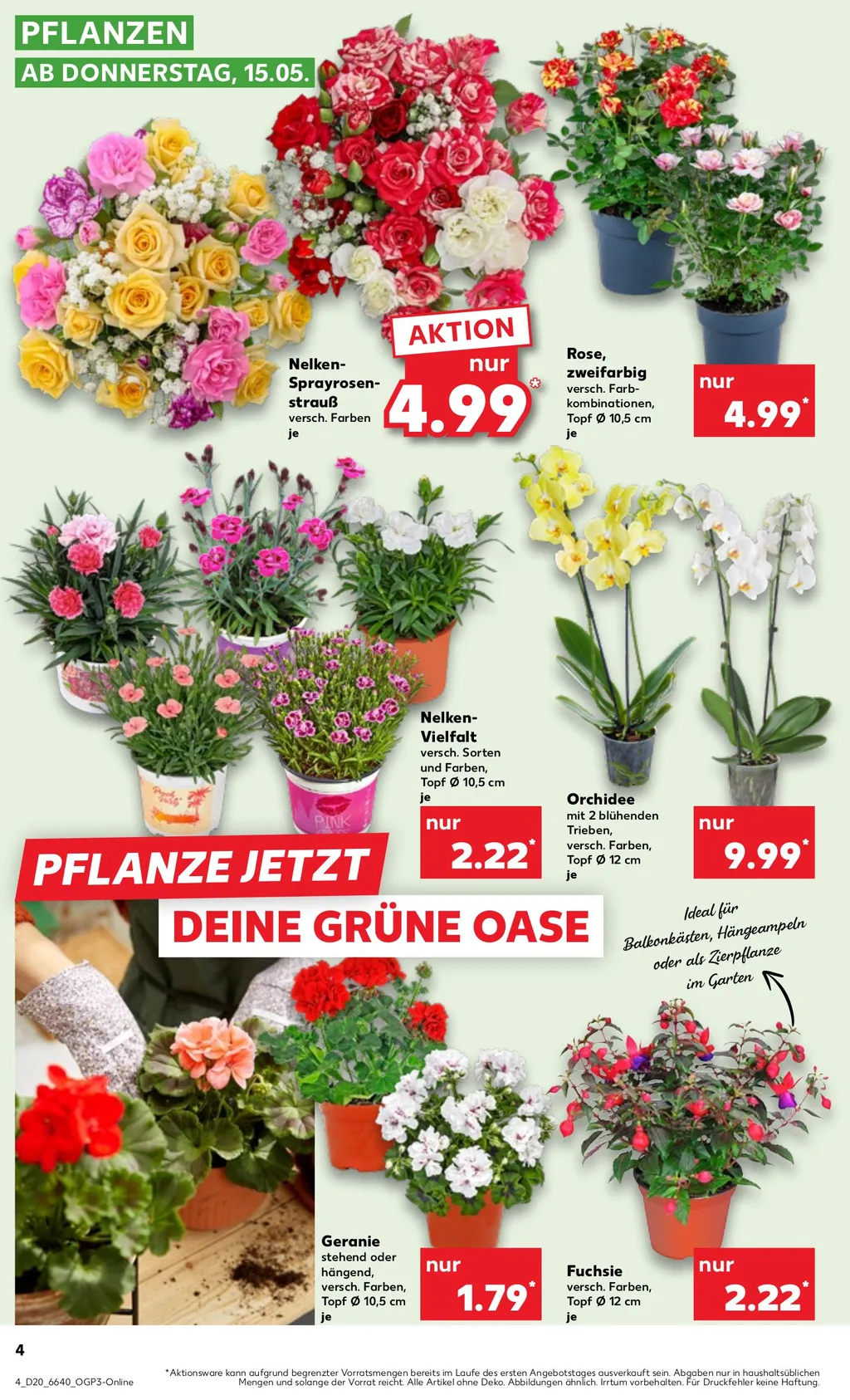 kaufland Angebote