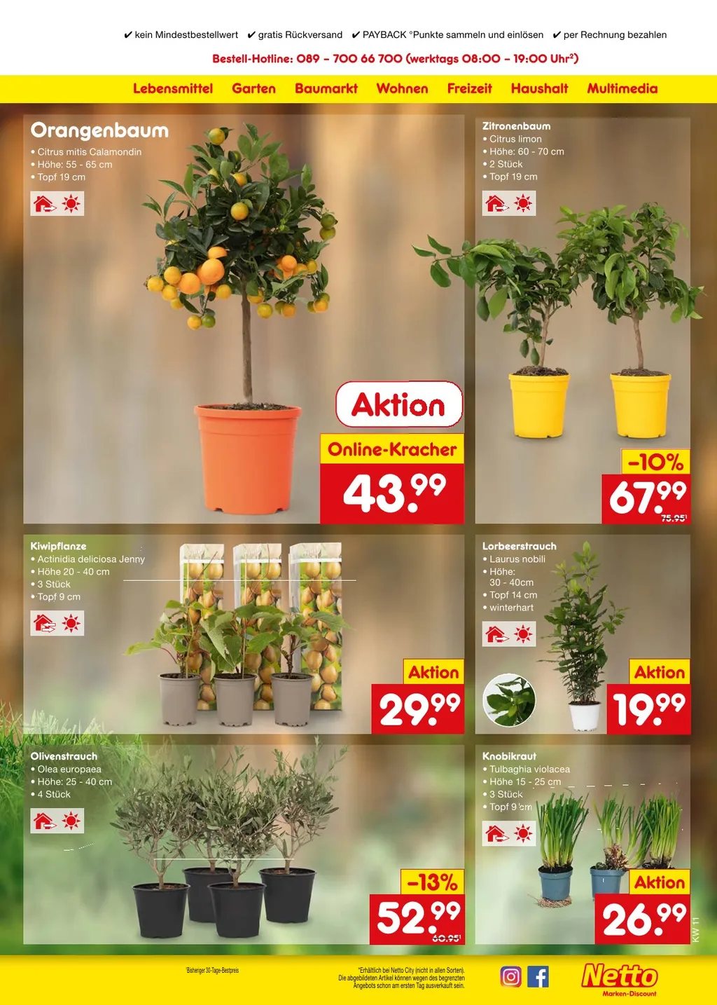 Netto Marken-Discount Prospekt ab 10.03.2025 Montag