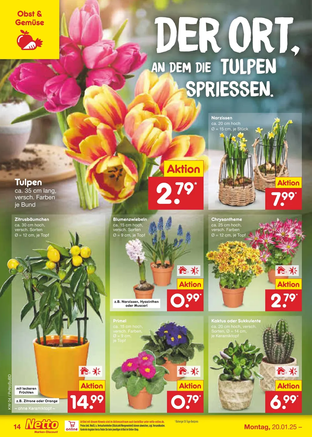 Netto Marken-Discount Prospekt ab 20.01.2025 (Montag)