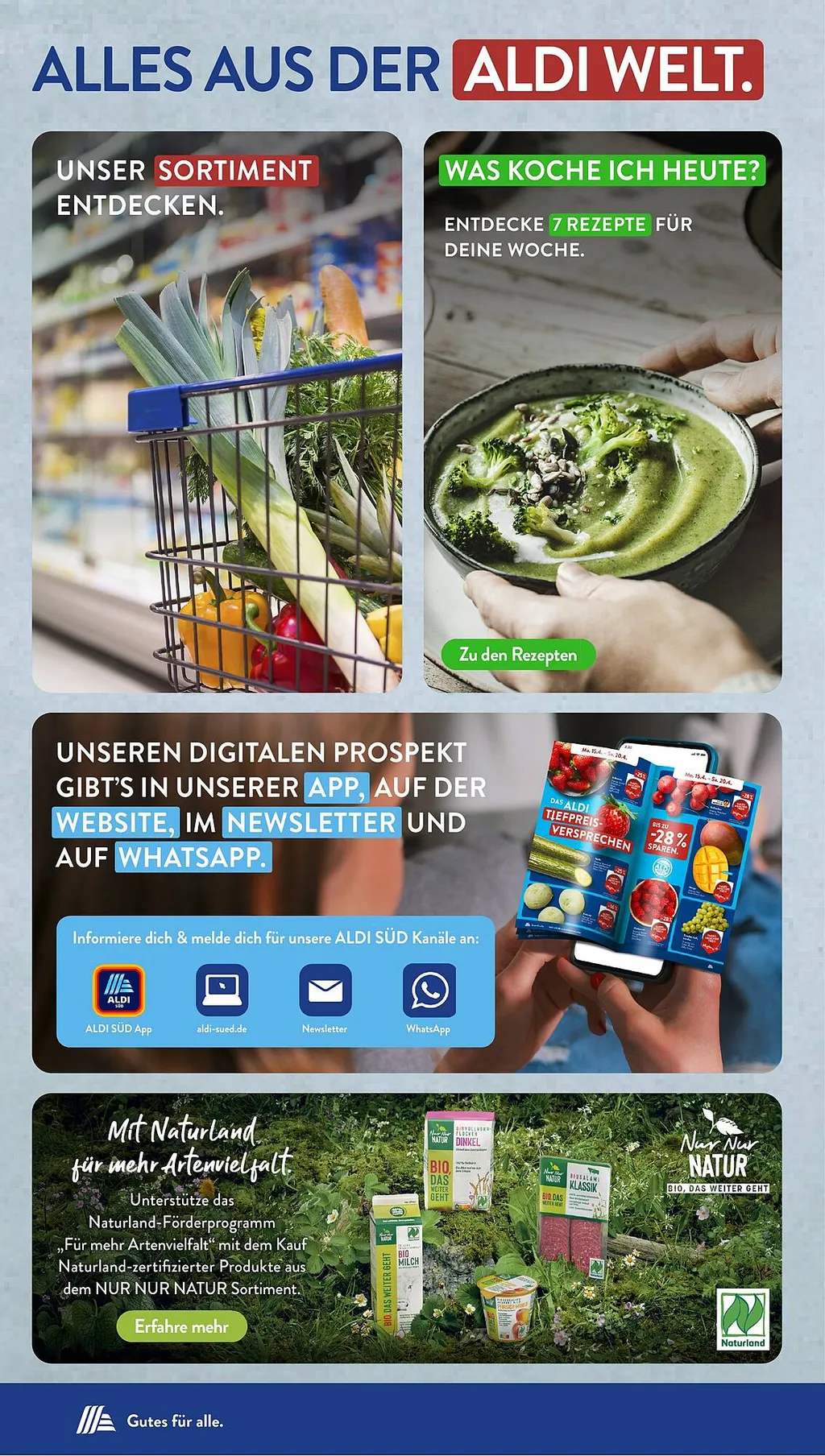 Aldi Süd Prospekt ab 20.01.2025 (Montag)