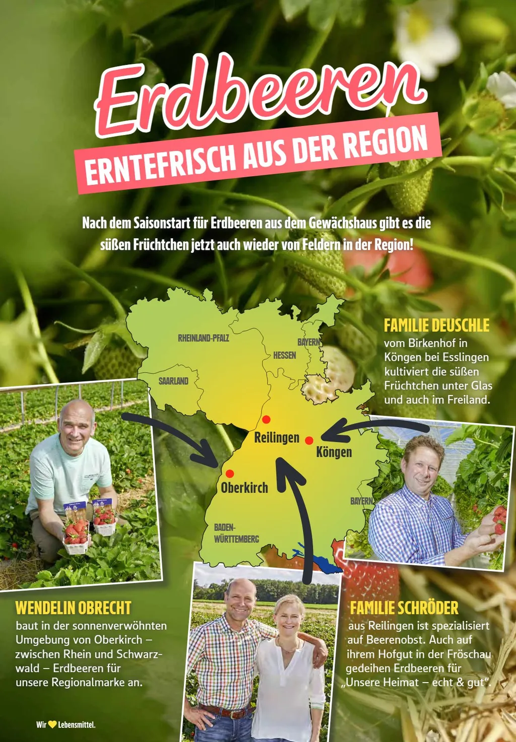 Edeka Südwest Prospekt