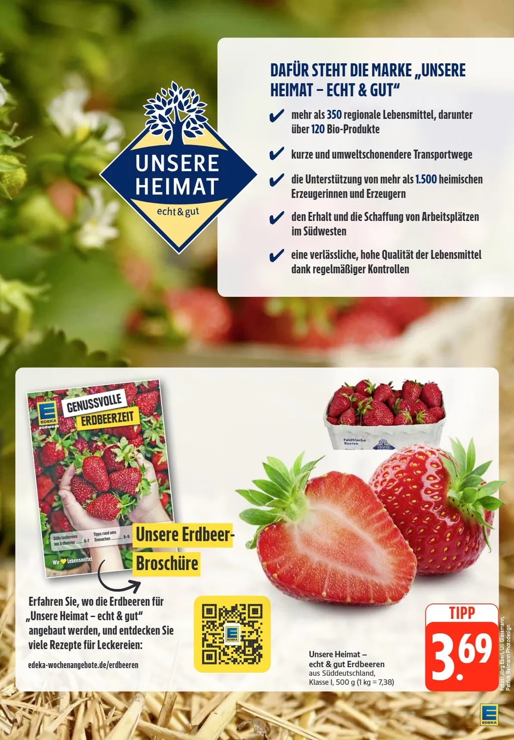 Edeka Südwest Prospekt