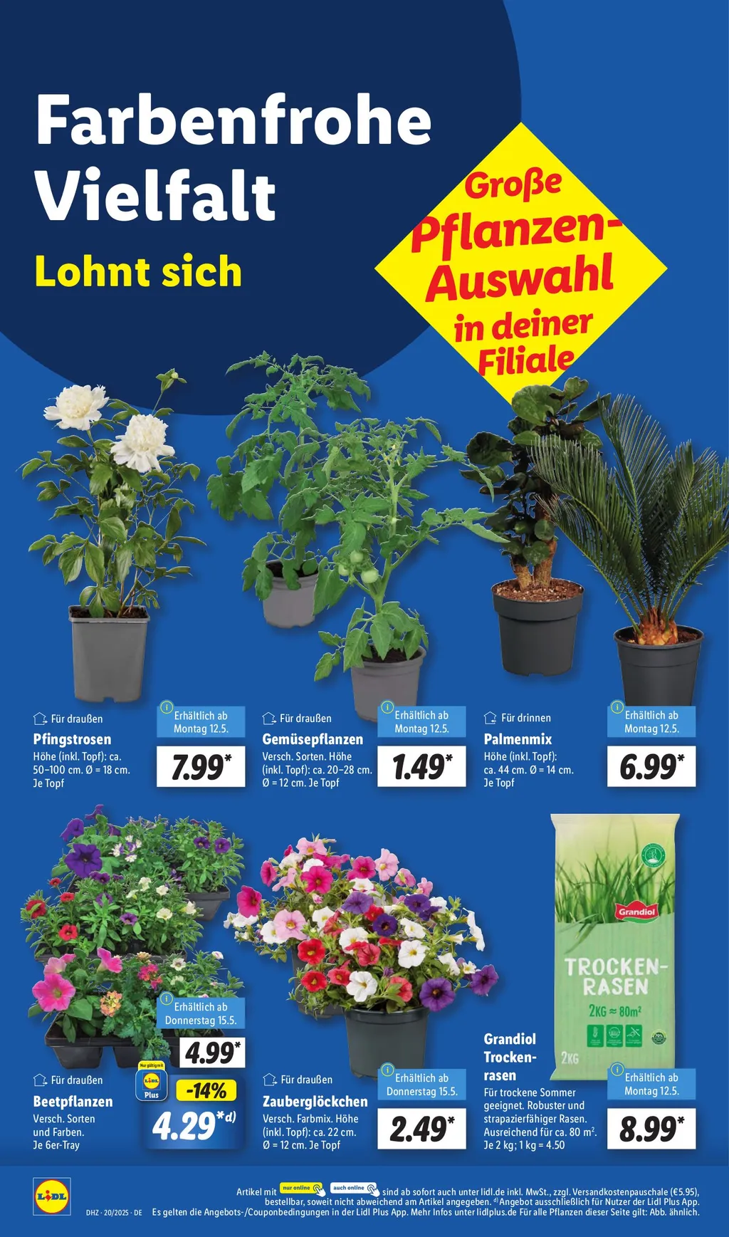 Lidl Prospekt