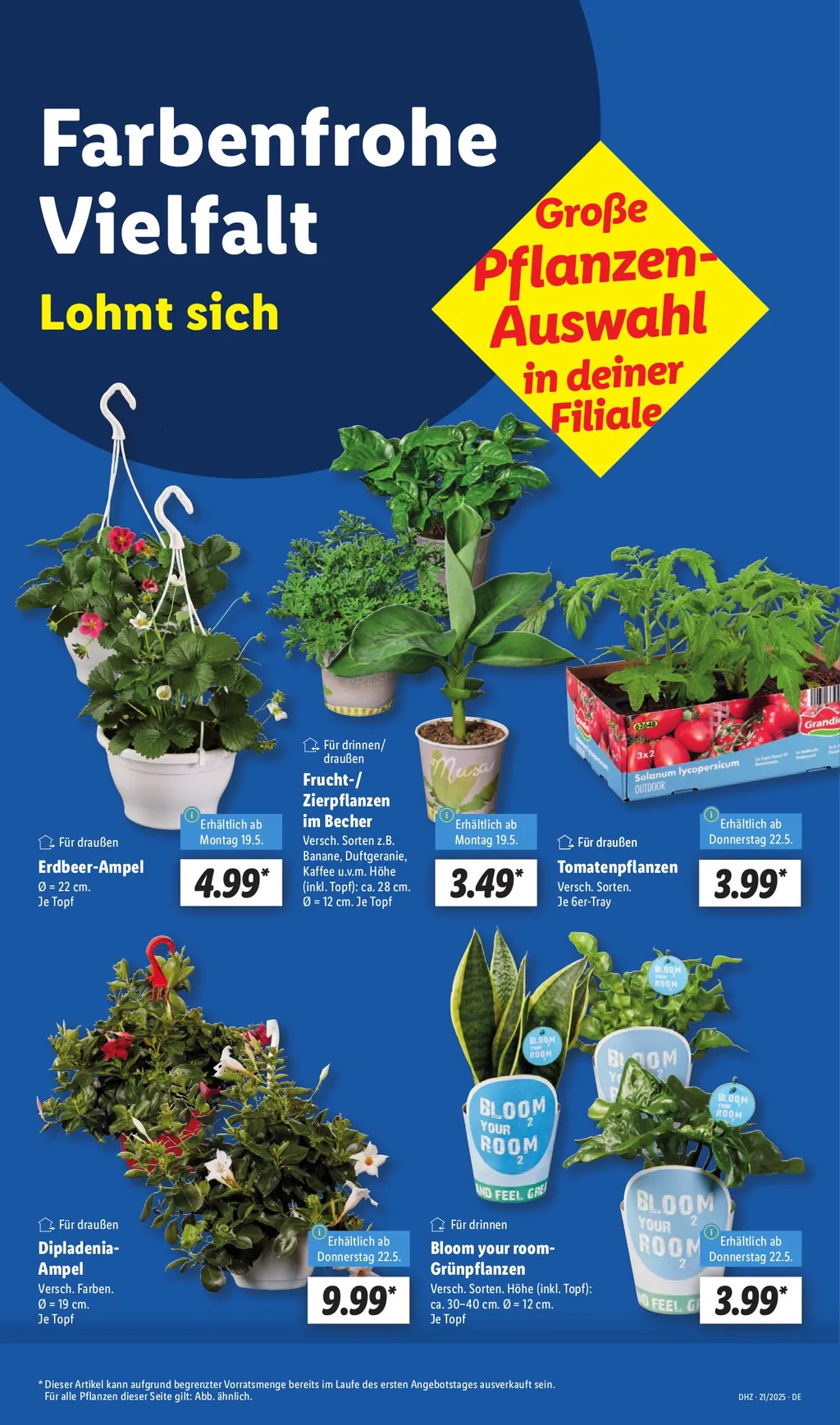 Lidl Angebote