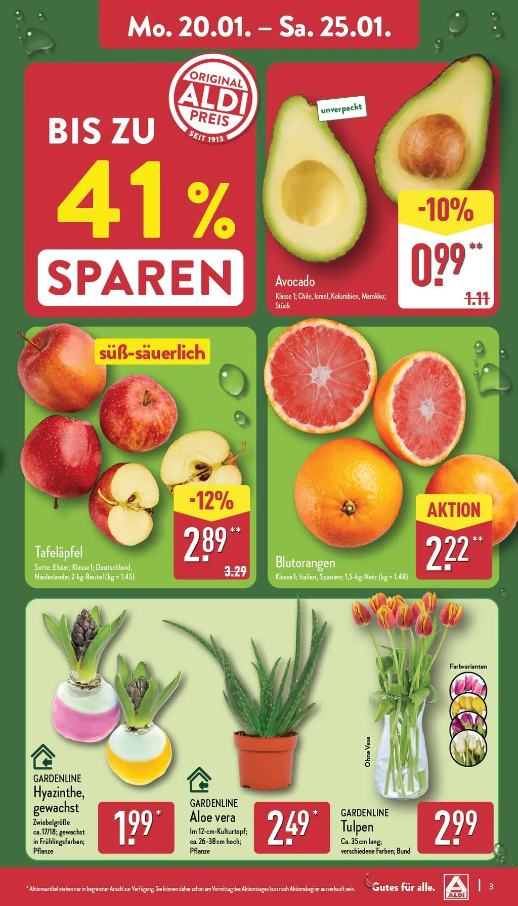 Aldi Nord prospekt ab 20.01.2025  Montag