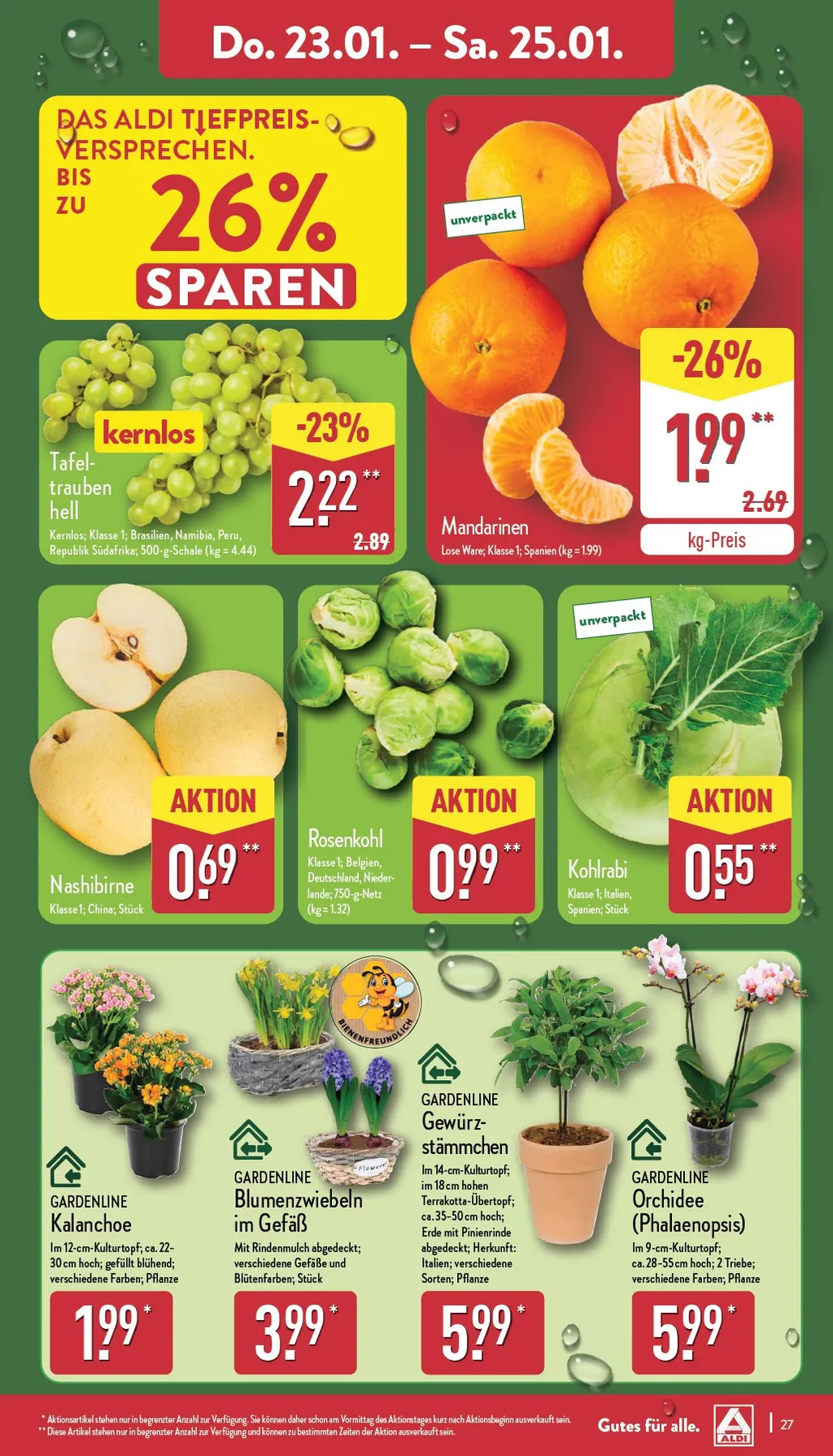 Aldi Nord prospekt ab 20.01.2025  Montag