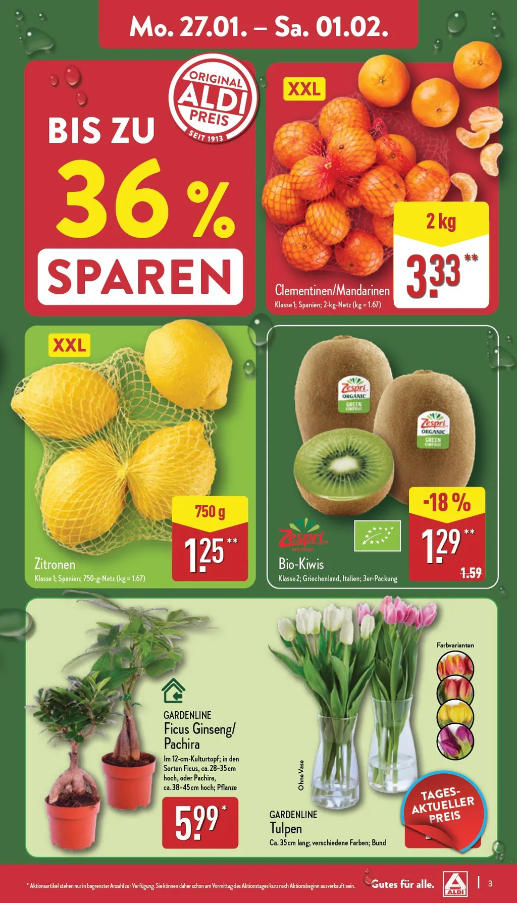 Aldi Nord prospekt ab 27.01.2025 Montag