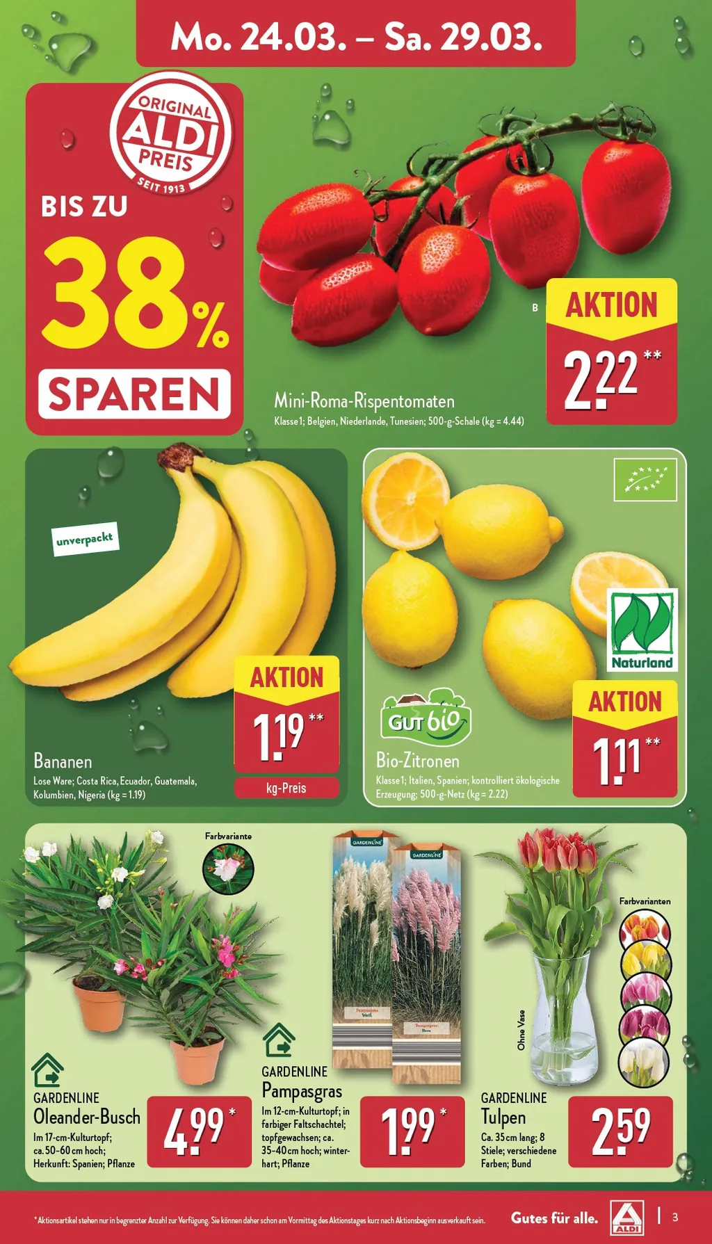 Aldi Nord Prospekt ab 24.03.2025 Montag