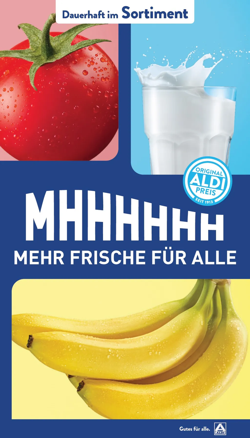 Aldi Nord Prospekt ab 24.03.2025 Montag