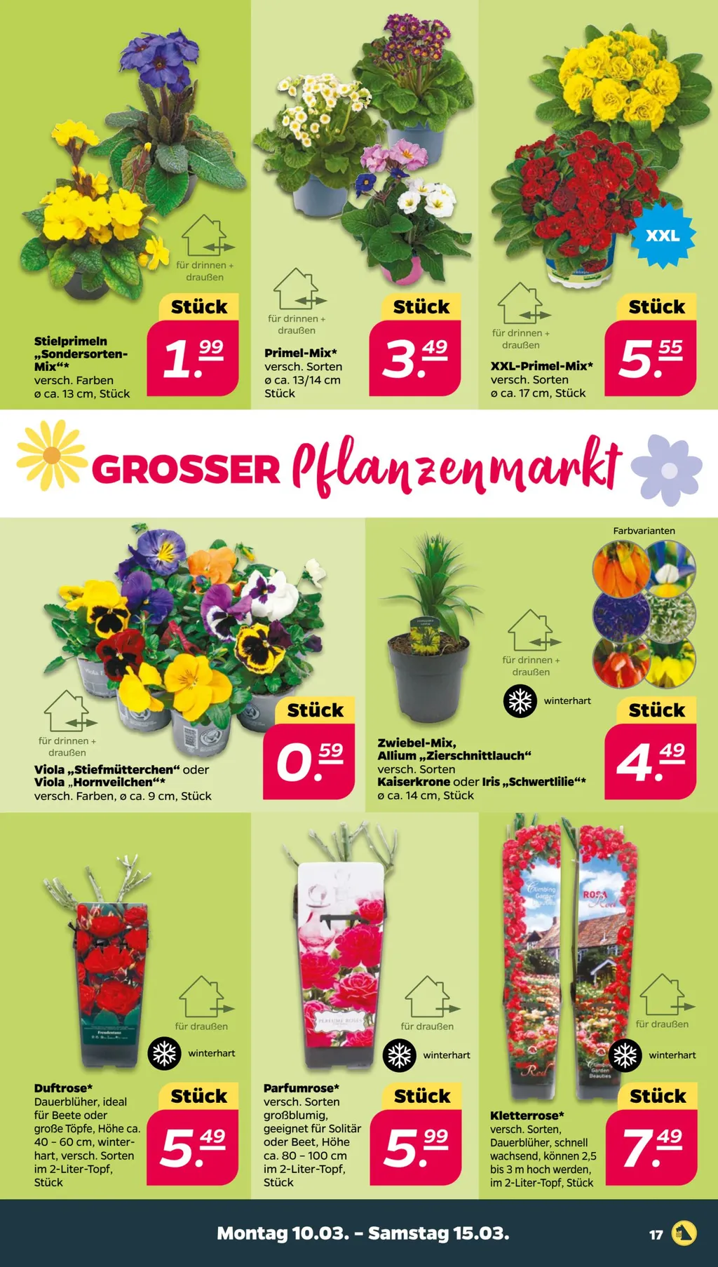 Netto Prospekt ab 10.03.2025 (Montag)