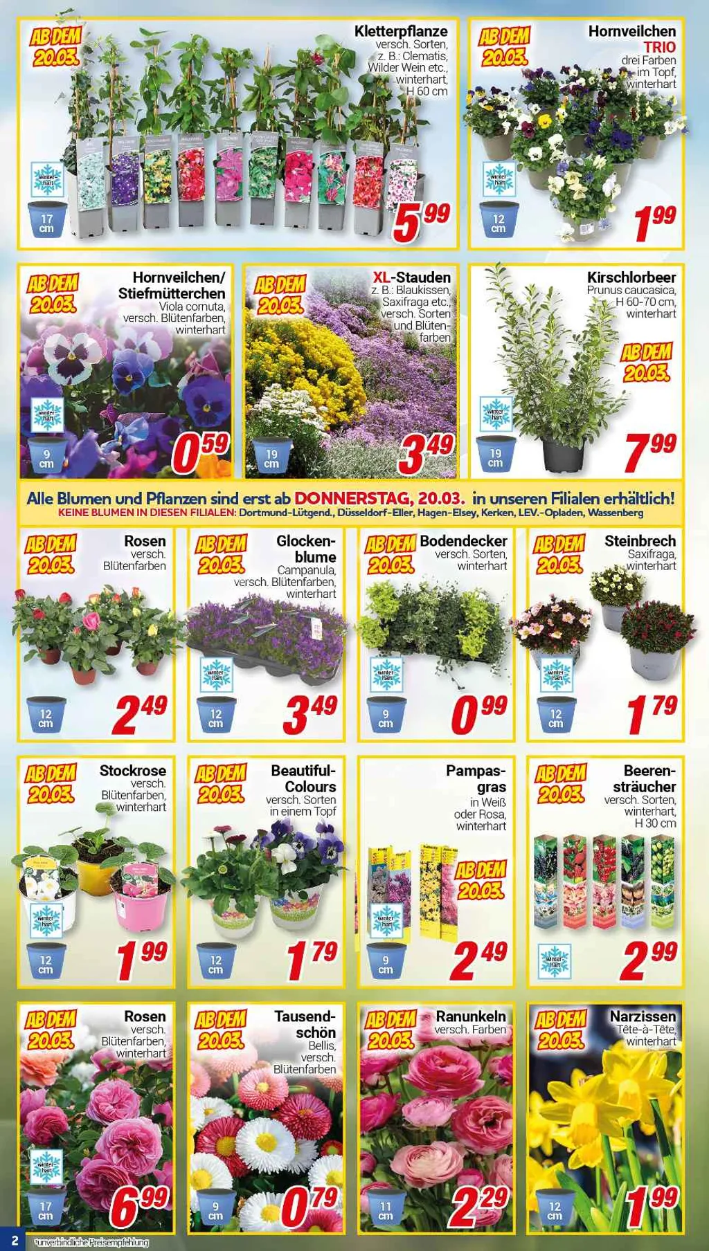 Centershop Prospekt ab 17.03.2025 Montag