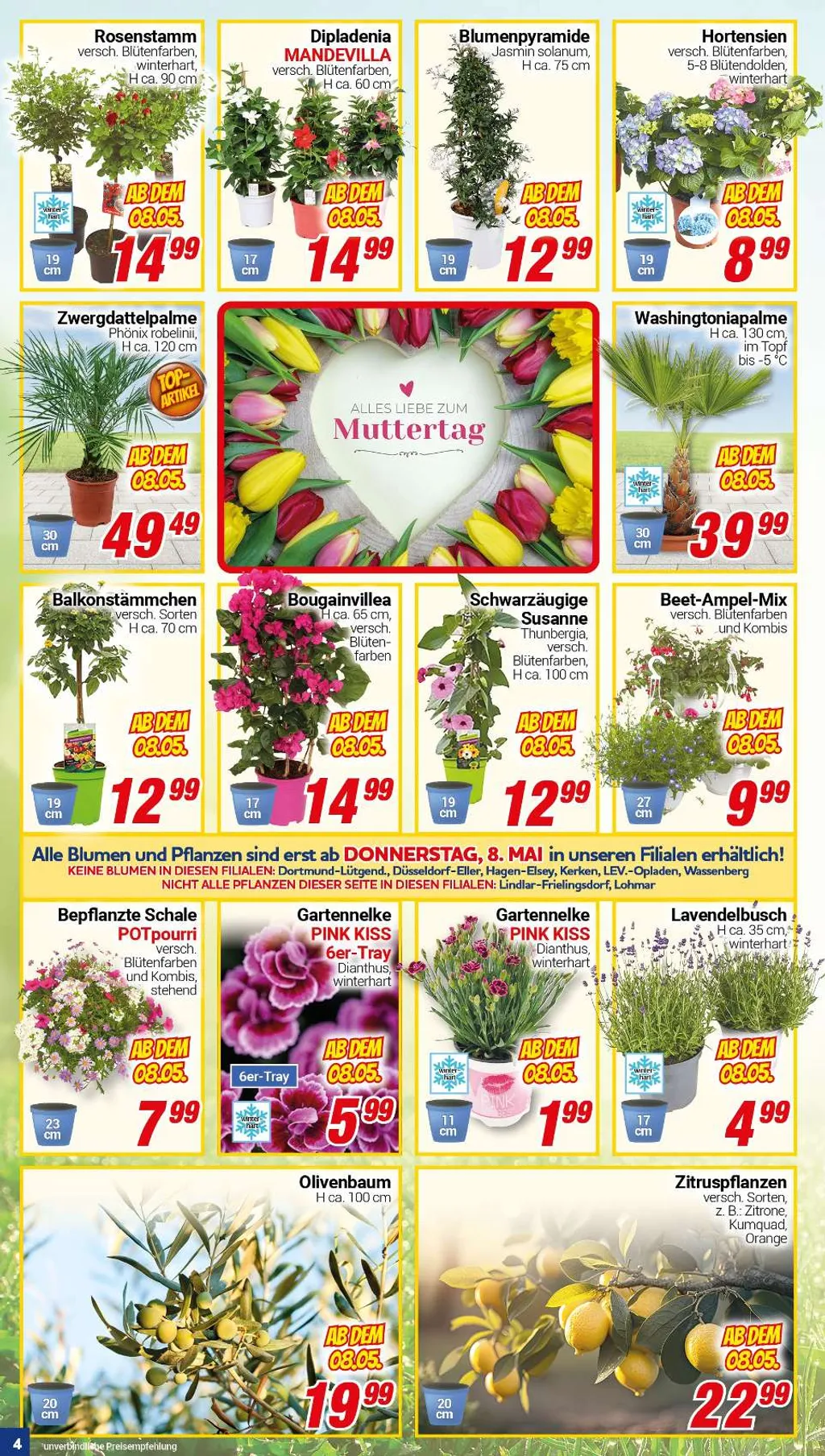 Centershop Prospekt ab 05.05.2025 Montag