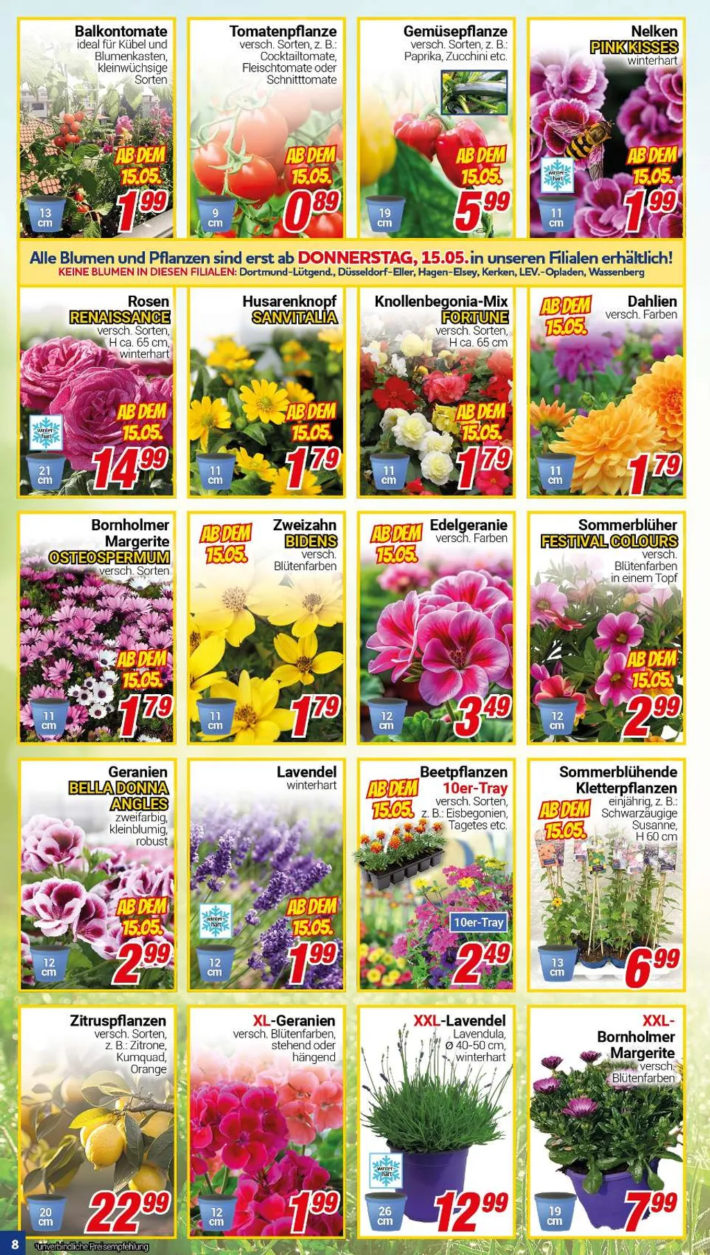 Centershop Prospekt