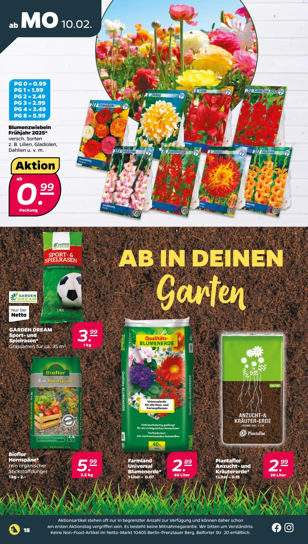 Netto Prospekt ab 10.02.2025 (Montag)