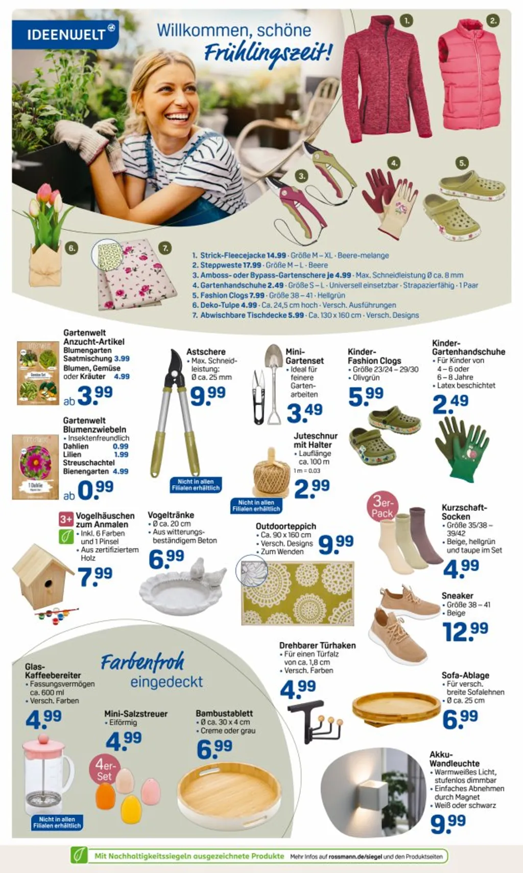 Rossmann Prospekt ab 17.03.2025 (Montag)