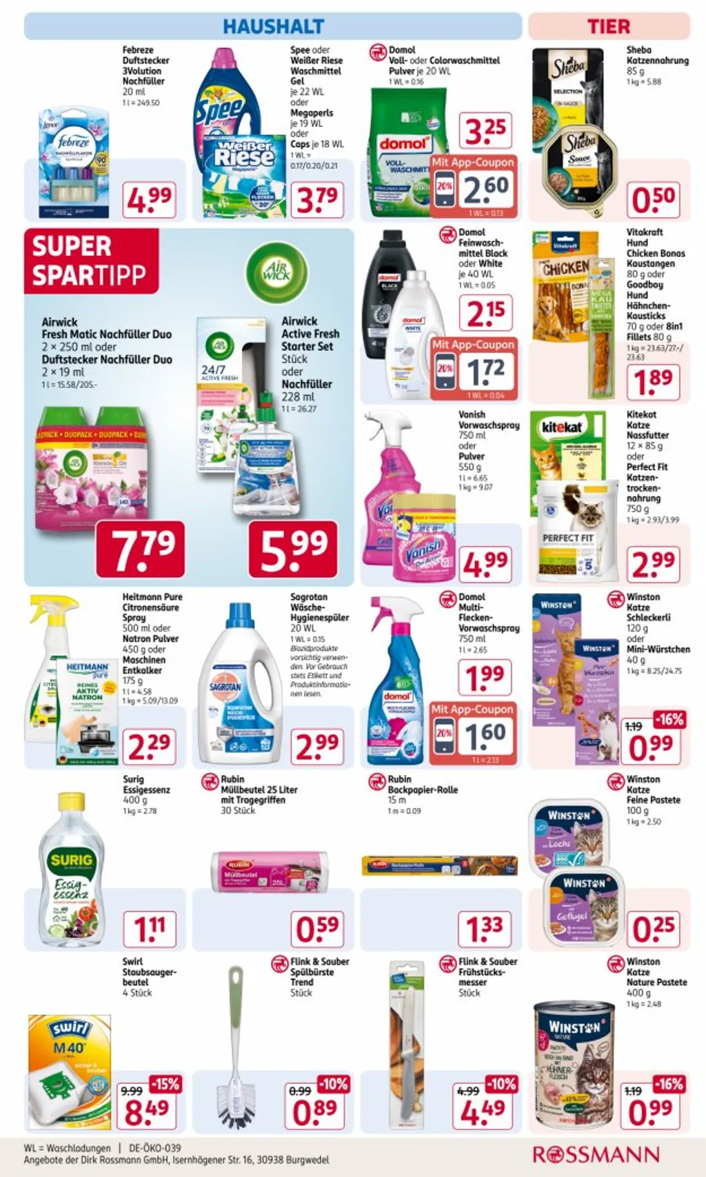 Rossmann Prospekt ab 17.03.2025 (Montag)