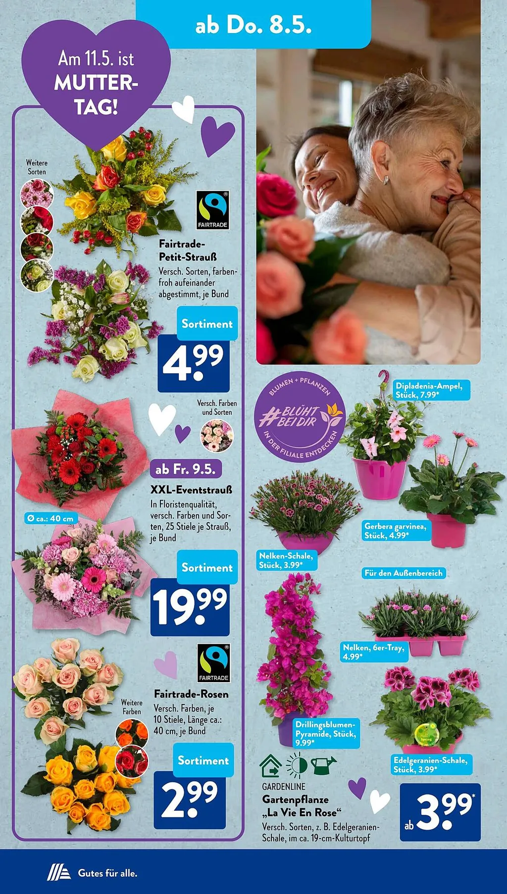 Aldi Süd Prospekte