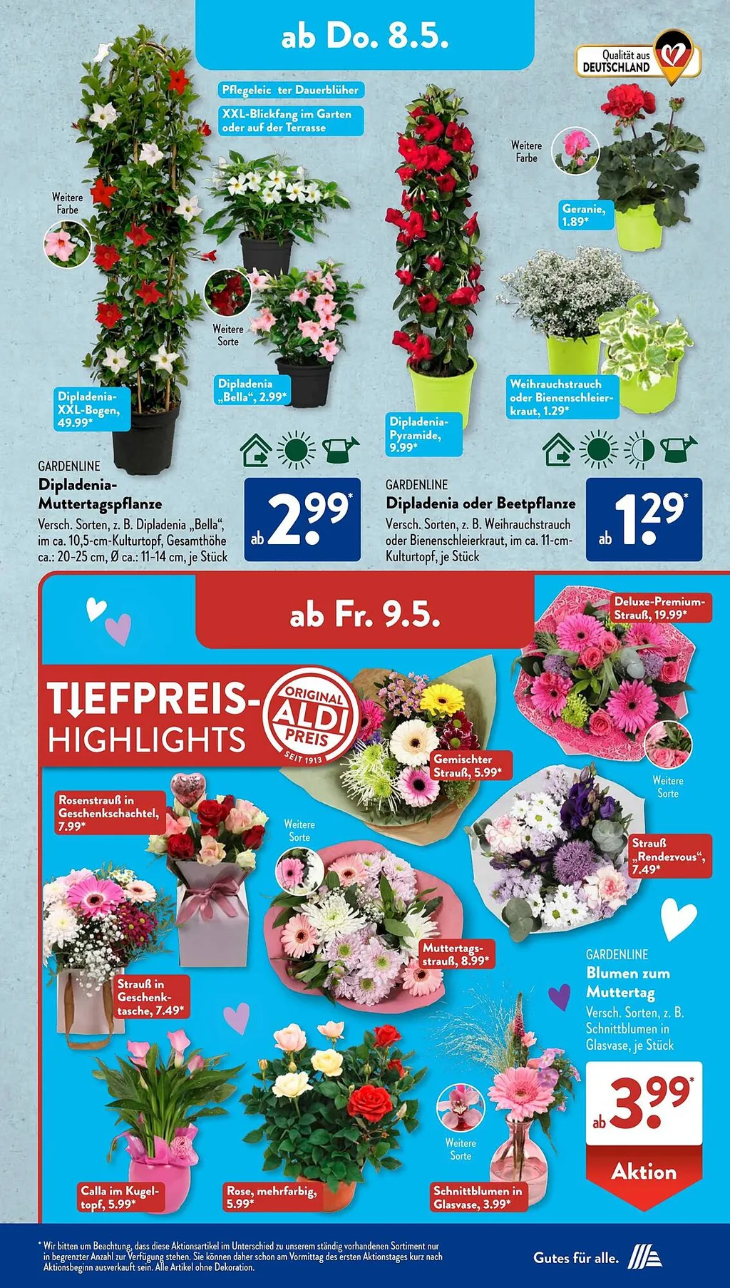 Aldi Süd Prospekte