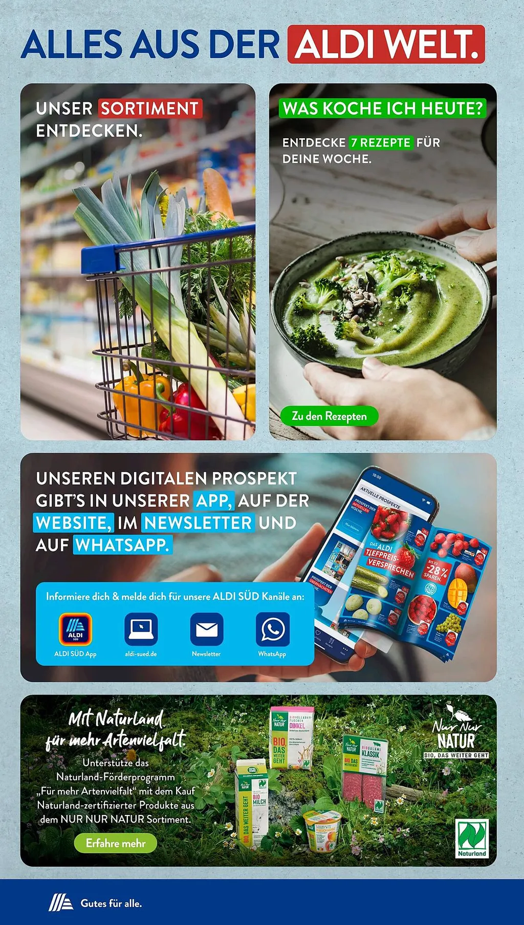 Aldi Süd Prospekte