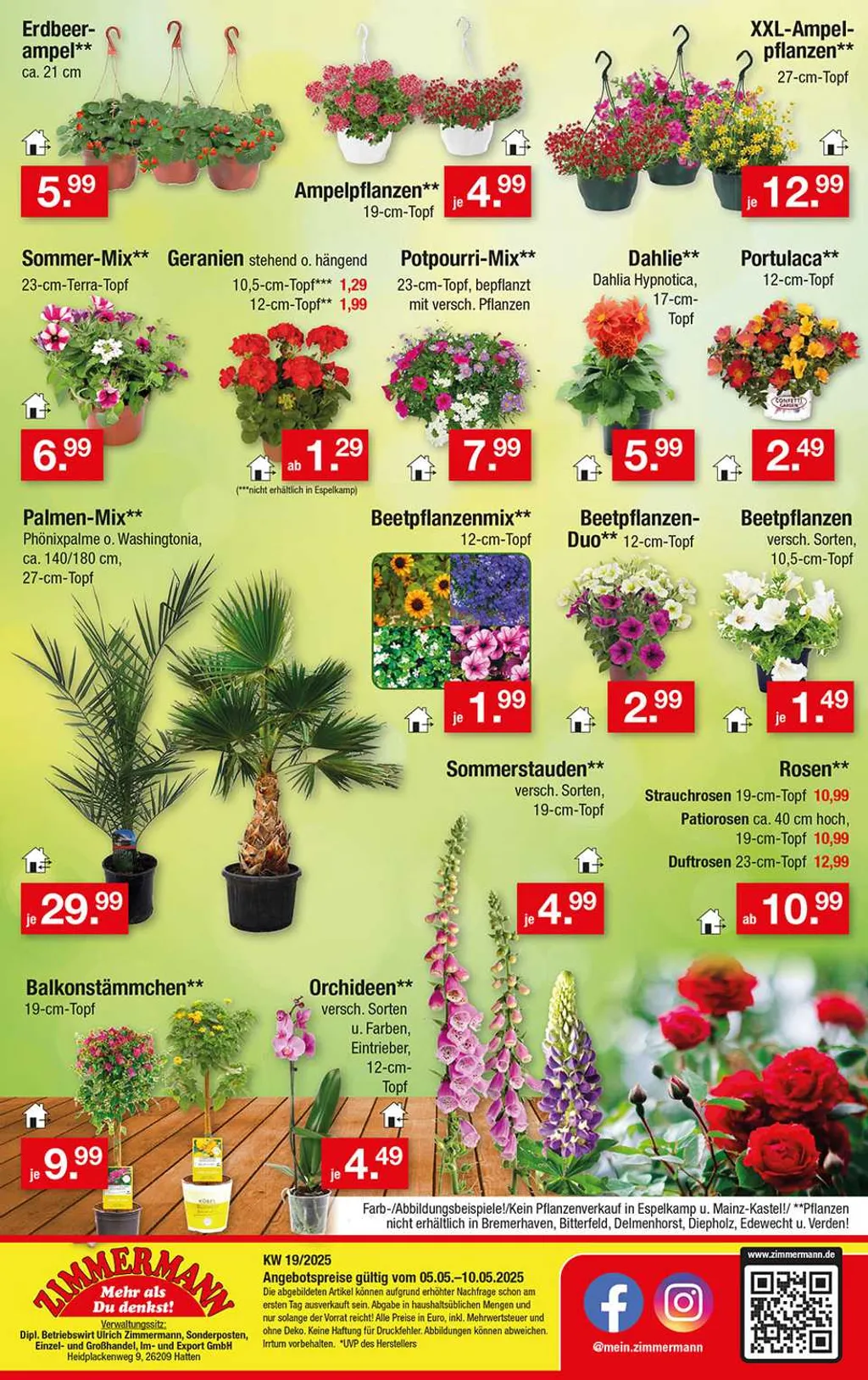 Zimmermann Prospekt