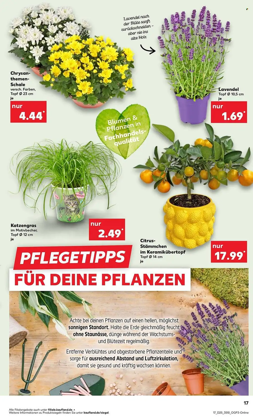 kaufland Prospekt Angebote - Sayfa 5 / 52