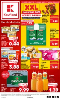 kaufland Prospekt