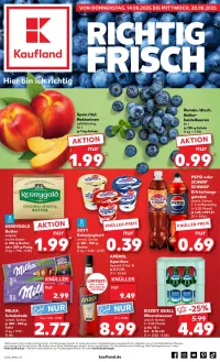 kaufland Prospekt Angebote