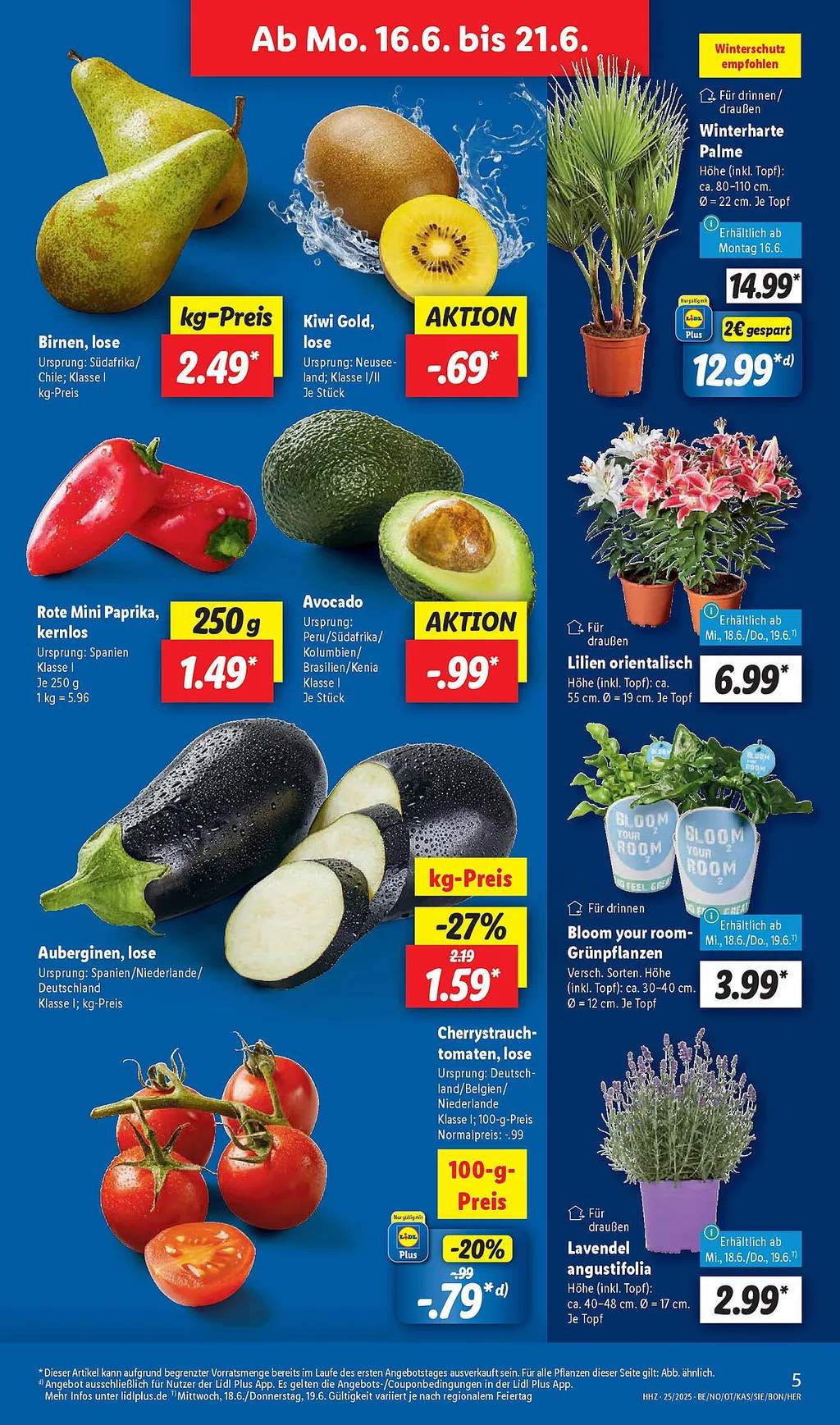 Lidl Prospekt - Sayfa 5 / 63