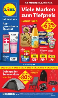 Lidl Prospekt