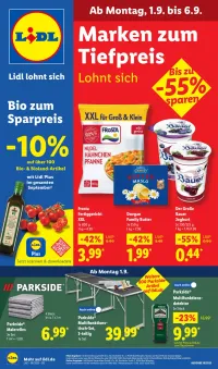 Lidl Prospekt Angebote