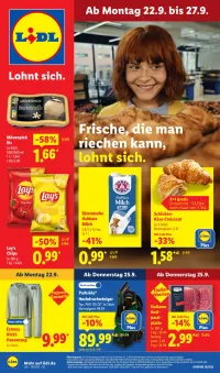 Lidl Prospekt
