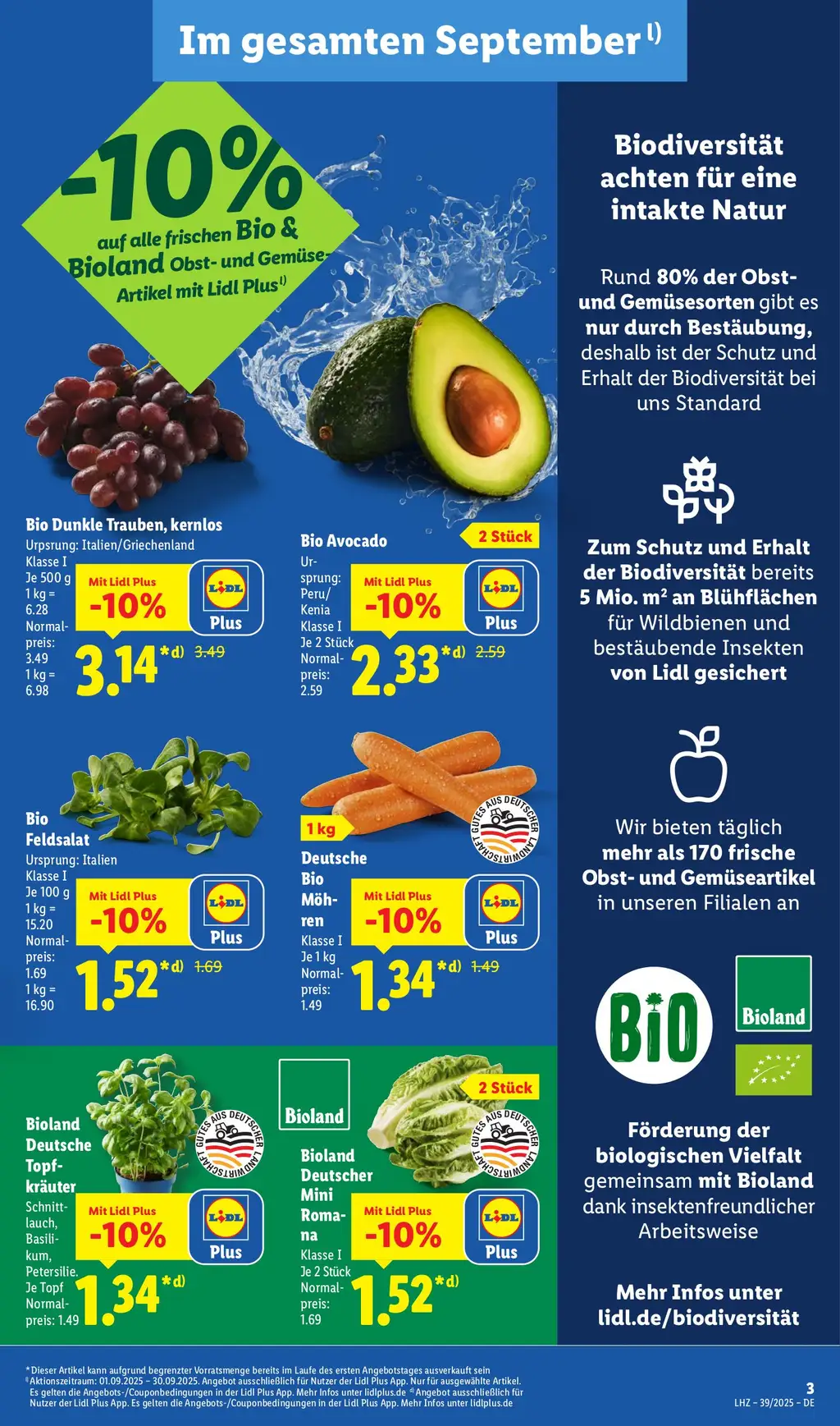 Lidl Prospekt - Seite 3