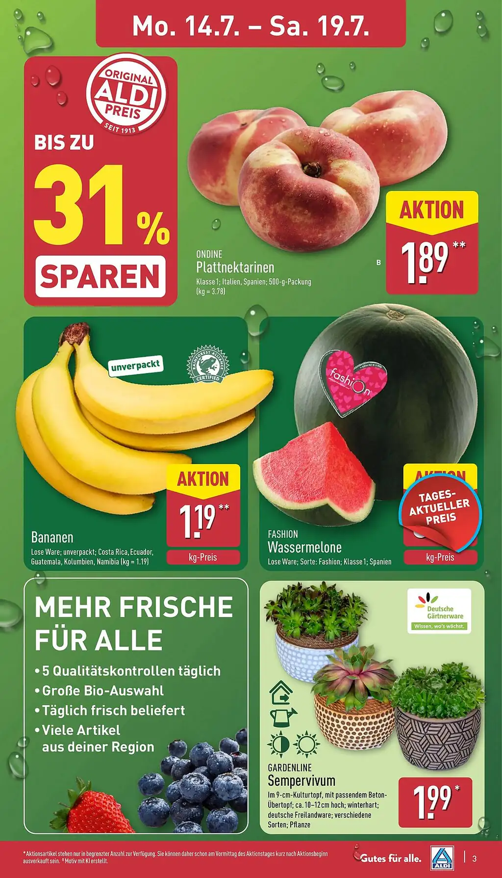 Aldi Nord Prospekt - Sayfa 3 / 45
