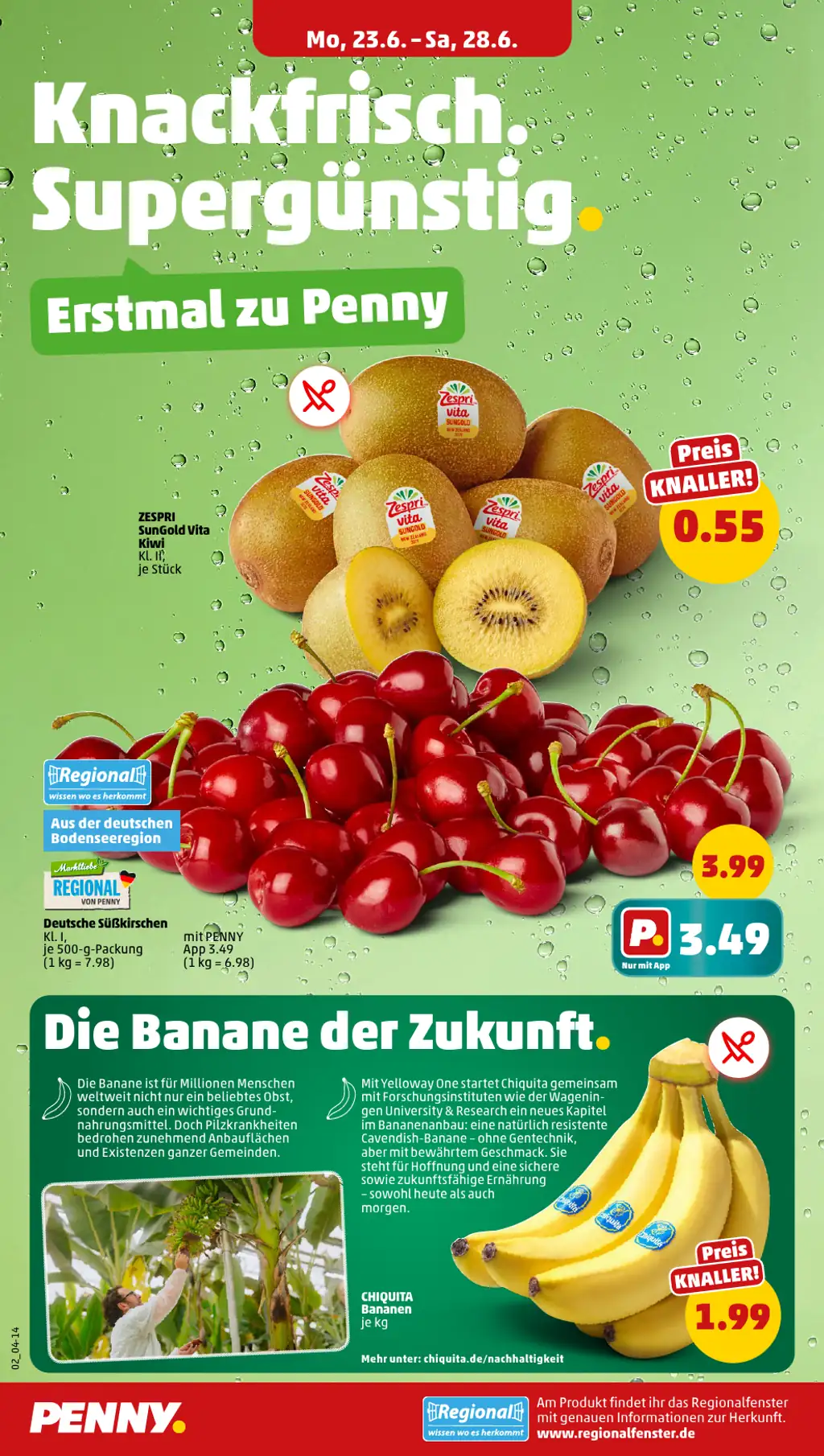 Penny Prospekt Angebote - Sayfa 2 / 37