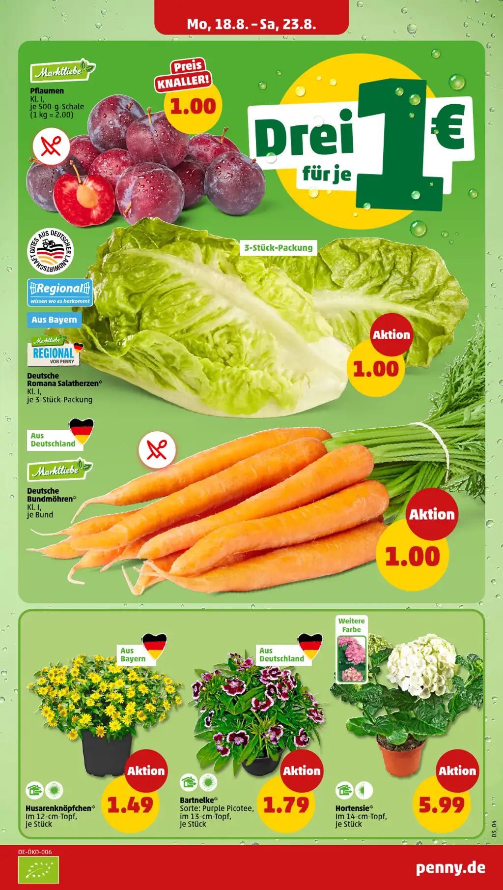 Penny Prospekt Angebote - Sayfa 3 / 42