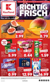 kaufland Prospekt