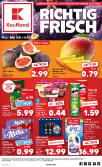 kaufland Prospekt Angebote