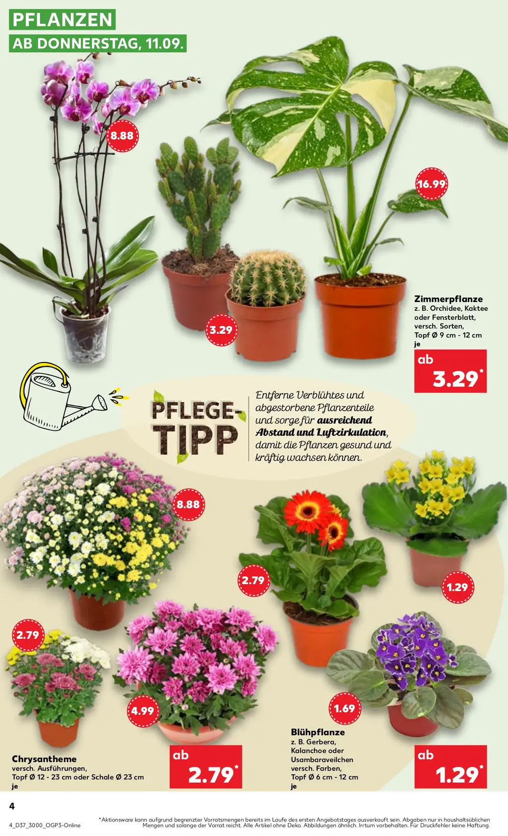 kaufland Prospekt Angebote - Seite 4