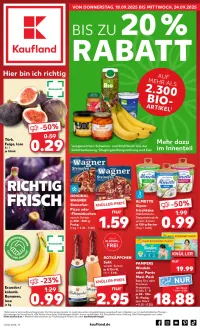 kaufland Prospekt