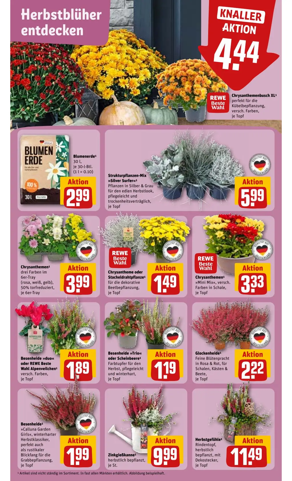 REWE Prospekt Angebote - Seite 5