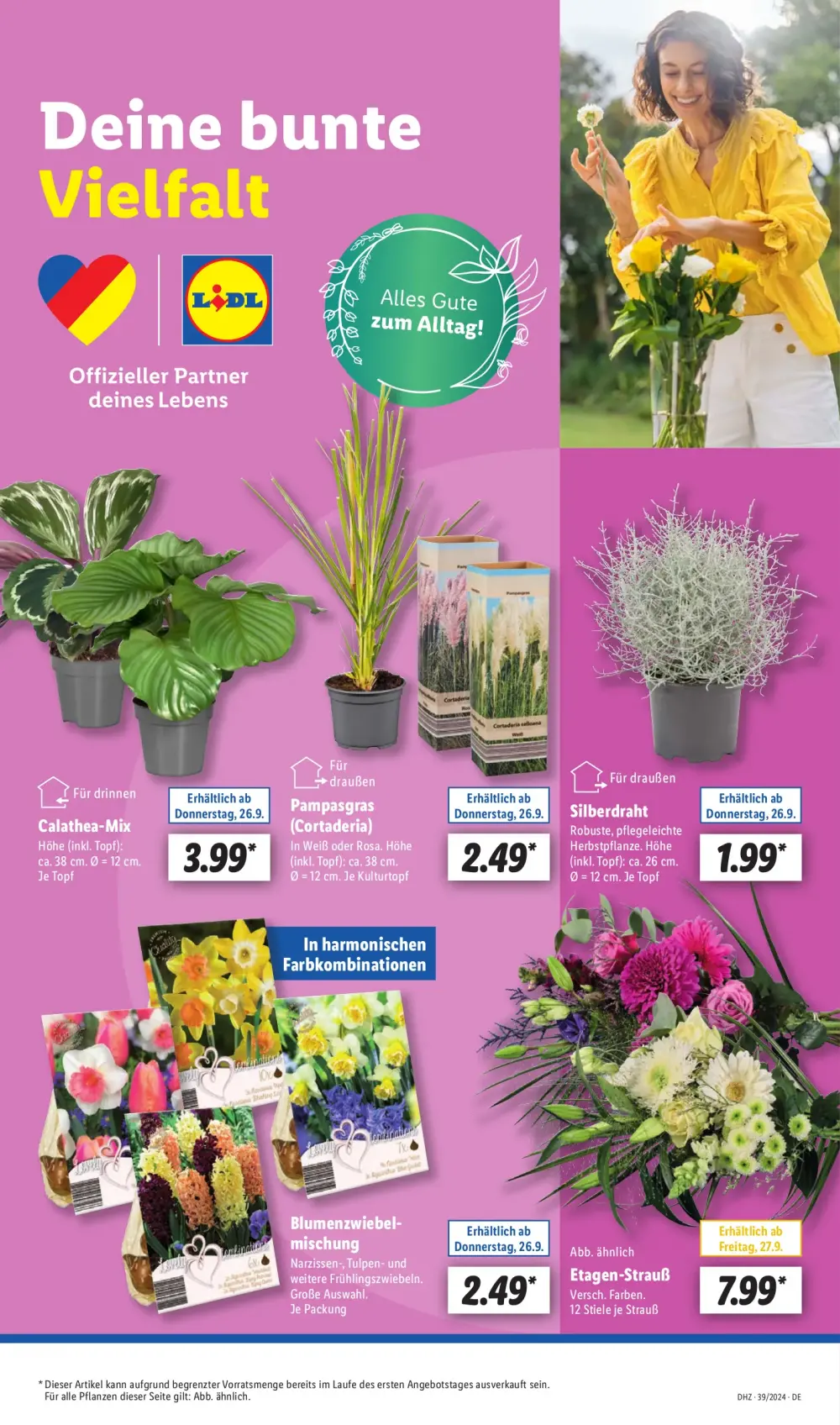 Lidl Prospekt Ab 23.09.2024 Montag 7 seite