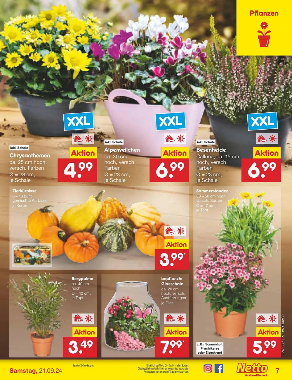 Netto Marken-Discount Prospekt Ab 16.09.2024 Montag 7 seite