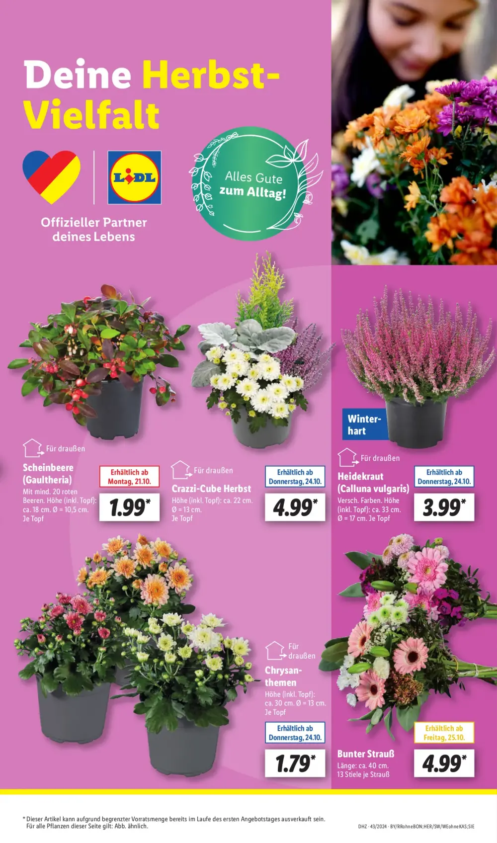 Lidl Prospekt Ab 21.10.2024 Montag 13 seite