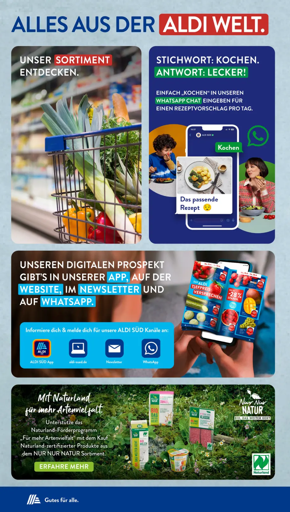 Aldi Süd Prospekt Angebote 31