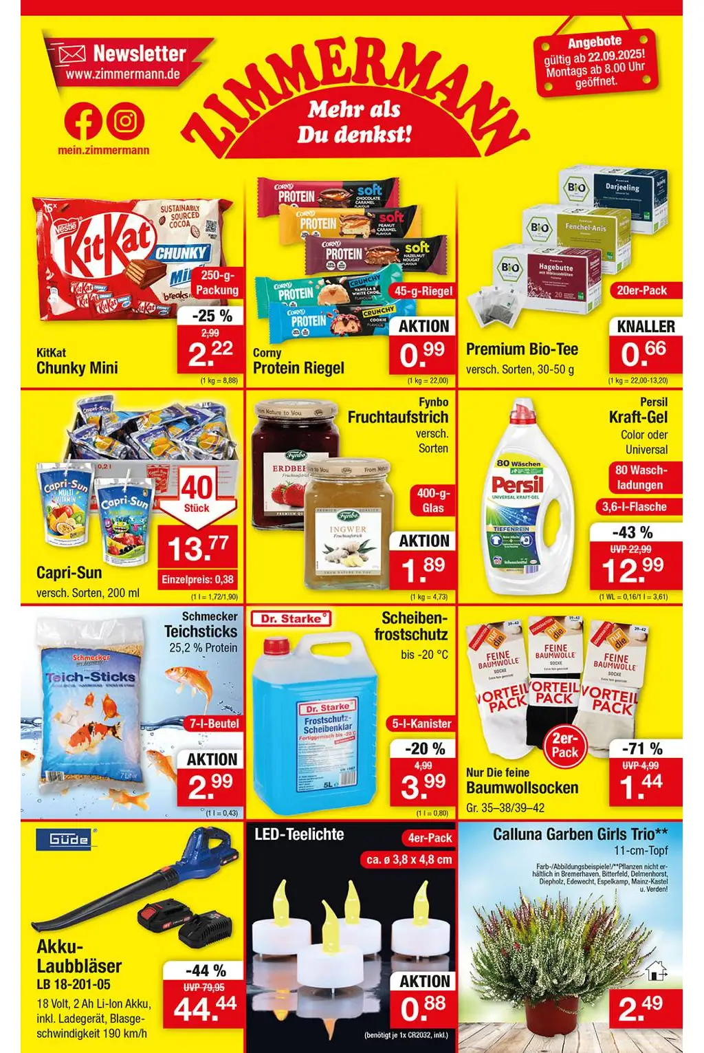 Zimmermann Prospekt Angebote - Seite 1